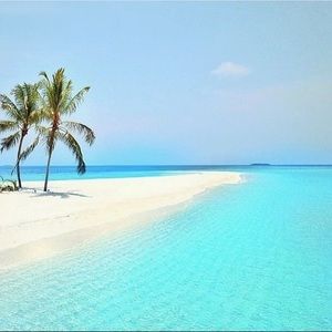 Meet your Posher, Teresa