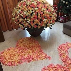 Meet your Posher, Albina