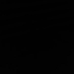 Meet your Posher, Sheila