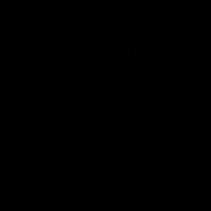 Meet your Posher, Barry