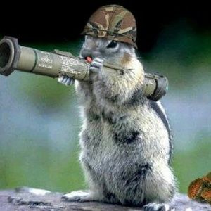 Meet your Posher, Aaron