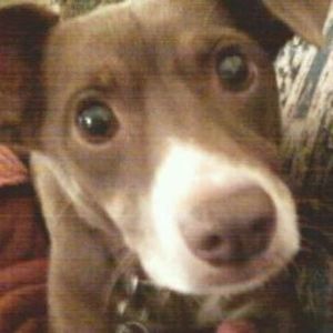 Meet your Posher, Victoria