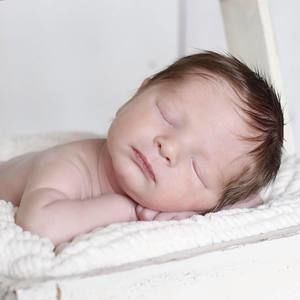 Meet your Posher, Ellen