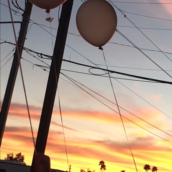 Meet your Posher, Hali - Picture 1 of 1