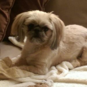 Meet your Posher, Joann