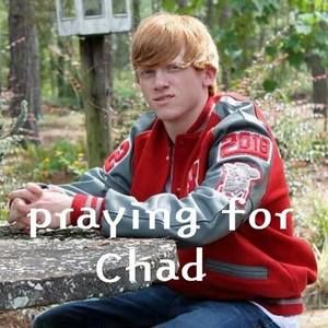 Meet your Posher, Ava