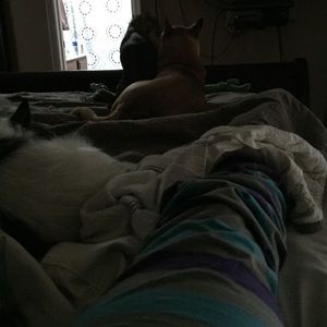 Meet your Posher, Donna