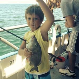 Meet your Posher, Dawn