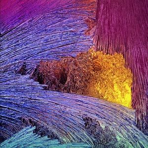 Meet your Posher, Katelyn