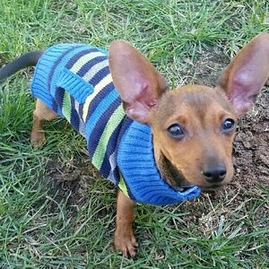 Meet your Posher, Tara