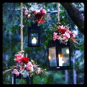 Meet your Posher, Tara