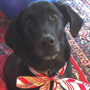 Meet your Posher, Leanne