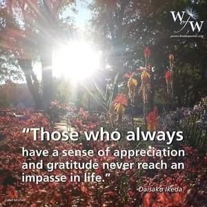 Meet your Posher, Paulette