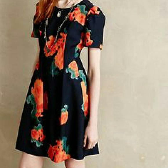 Poppy Palette Anthropologie dress