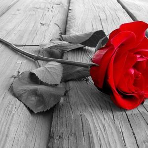 Meet your Posher, Ricky