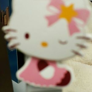 Meet your Posher, Lauri