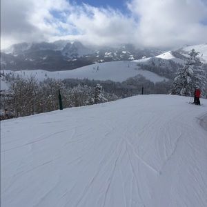 Meet your Posher, Caitlyn