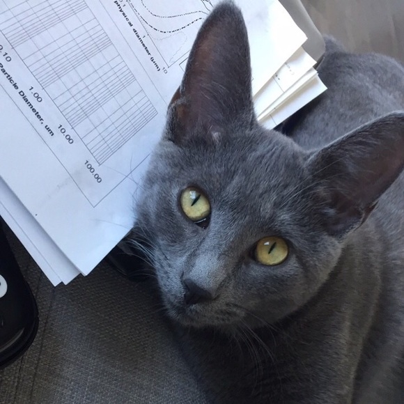 Meet your Posher, Alyson - Picture 2 of 2