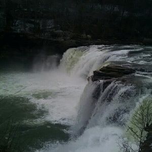 Meet your Posher, Cynthia