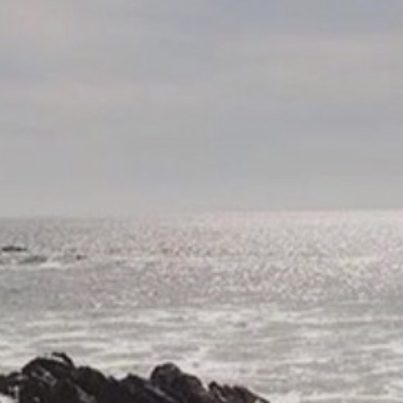 Meet your Posher, Morgan - Picture 1 of 1