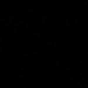 Meet your Posher, Dylan