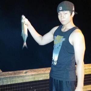 Meet your Posher, Peter