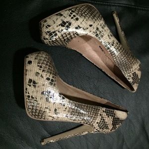 Snake Bremseth-30 Aldo Shoe