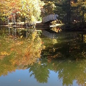 Meet your Posher, Karlie