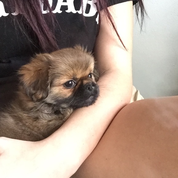 MOVING SALE - Picture 1 of 1