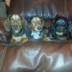 Meet your Posher, Kel kel