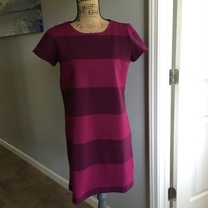 Gap Shift Dress--