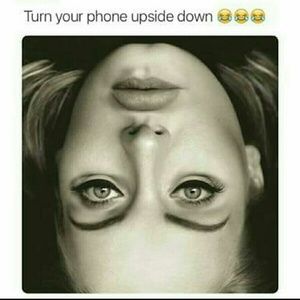 Meet your Posher, Lynnette