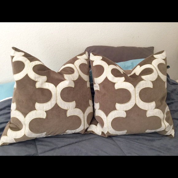 Two goose down-filled pillows