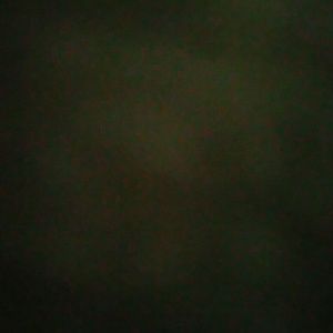 Meet your Posher, Yolanda