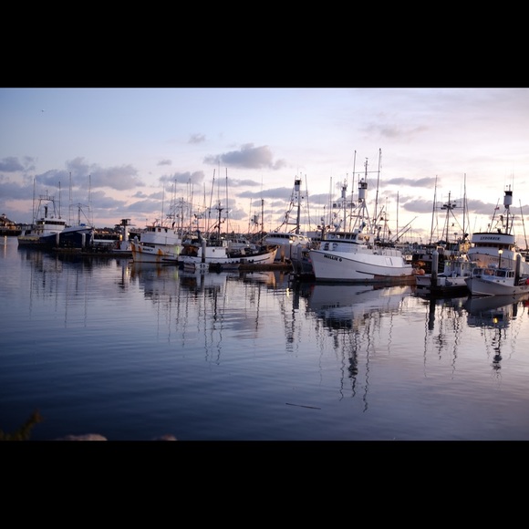 Meet your Posher, Jill - Picture 1 of 1