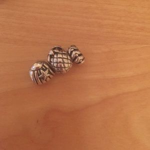 Pandora charms