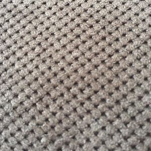 Meet your Posher, Cori