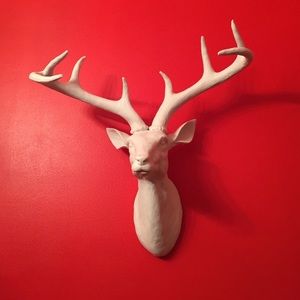 Meet your Posher, Joann