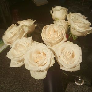 Meet your Posher, Pat