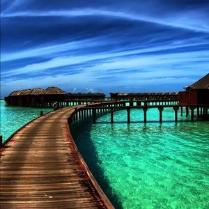 Meet your Posher, Linda