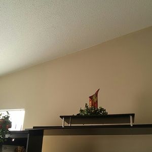 Meet your Posher, Tonya