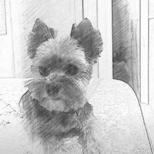 Meet your Posher, Kathy mark