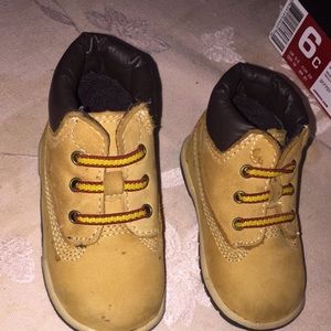 Infant Timberland 6 inch