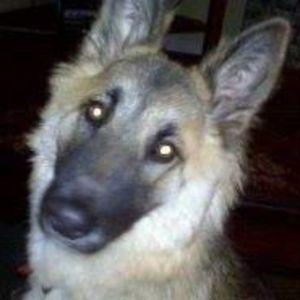 Meet your Posher, Diane