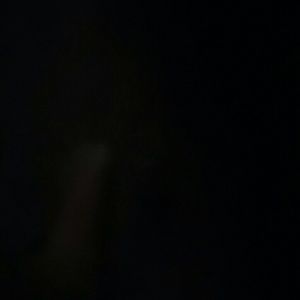 Meet your Posher, Bill