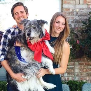 Meet your Posher, Bailey