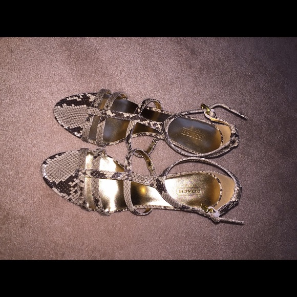 🆕AUTHENTIC COACH PYTHON PRINT SANDALS - Picture 2 of 4