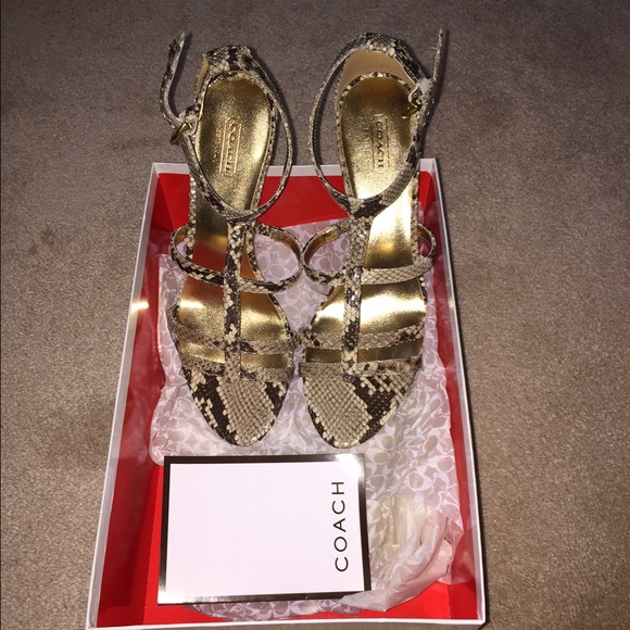 🆕AUTHENTIC COACH PYTHON PRINT SANDALS - Picture 4 of 4