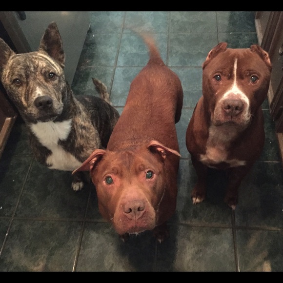 Meet your Posher, Celeste - Picture 2 of 7