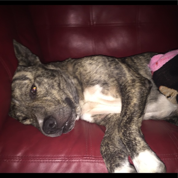 Meet your Posher, Celeste - Picture 4 of 7